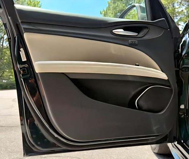 2021 Alfa Romeo Stelvio Ti photo 9