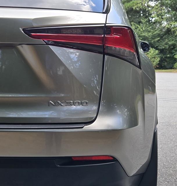 2021 Lexus NX 300 F SPORT photo 6
