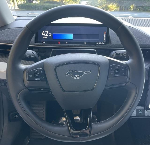2022 Ford Mustang Mach-E Premium photo 9