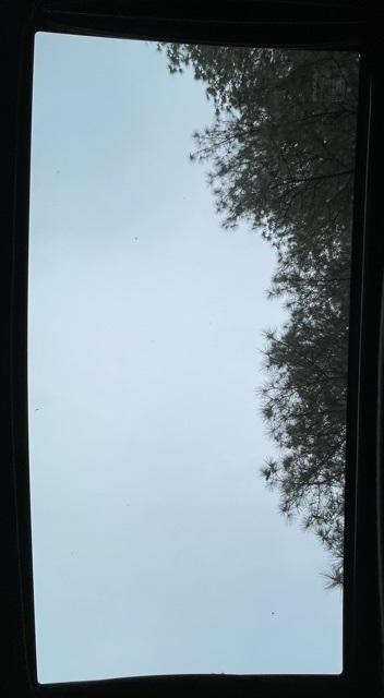 View 49